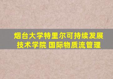 烟台大学特里尔可持续发展技术学院 国际物质流管理